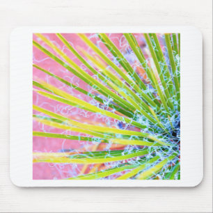 Psychedelic Yucca Mouse Pad