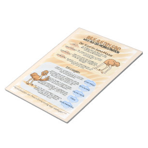 Psychoeducation Fact Sheet Procrastination Notepad