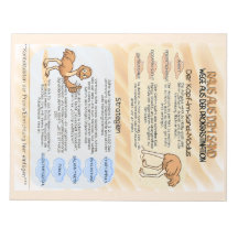 Psychoeducation Fact Sheet Procrastination