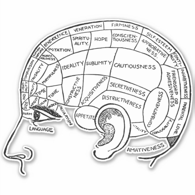 Psychology vintage phrenology psychiatry brain  (Front)