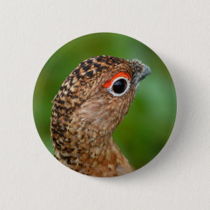 ptarmigan 6 cm round badge