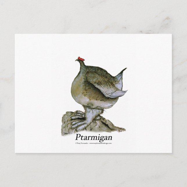 Ptarmigan bird, tony fernandes postcard (Front)