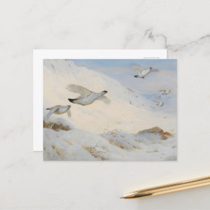 Ptarmigan in winter plumage,flying across the snow postcard
