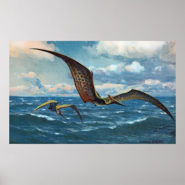 Pteranodon Antique Print (Front)