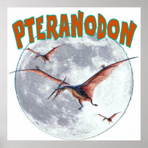Pteranodon dinosaur poster