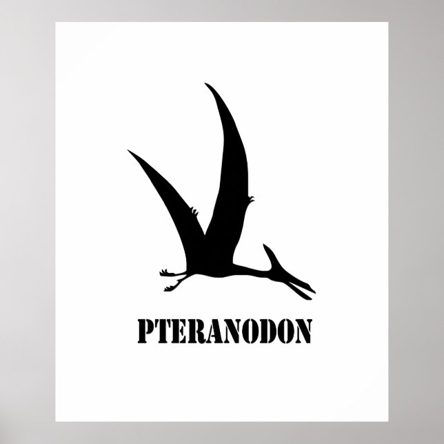 pteranodon poster (Front)