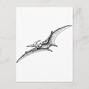 Pterodactyl Postcard