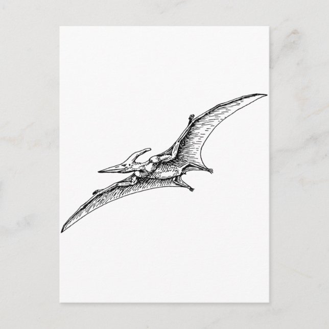 Pterodactyl Postcard (Front)