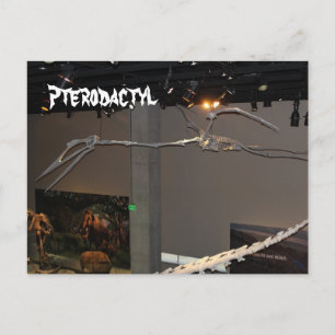 Pterodactyl Postcard
