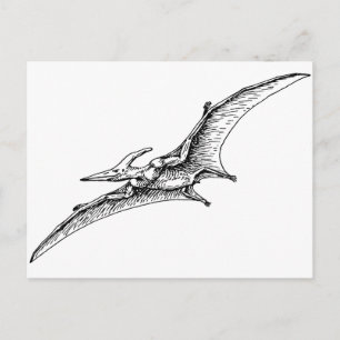 Pterodactyl Postcard