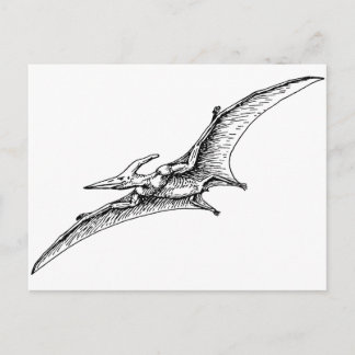 Pterodactyl Postcard