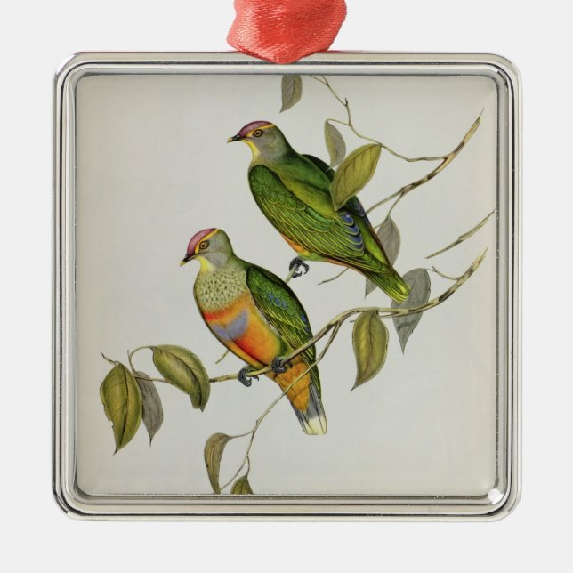Ptilinopus Ewingii Metal Tree Decoration (Front)