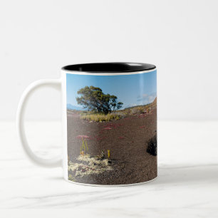 pu’u pua’i cinder cone along byron ledge trail  Two-Tone coffee mug