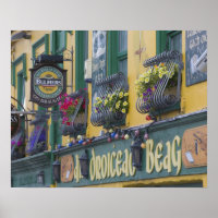 Pub, Dingle, Dingle Peninsula, County Kerry,