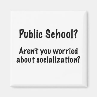 Public School? Magnet