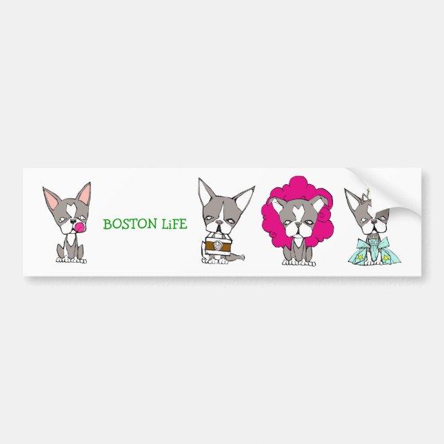 Pucca by Kakurai Missile 1 Bumper Sticker (Front)