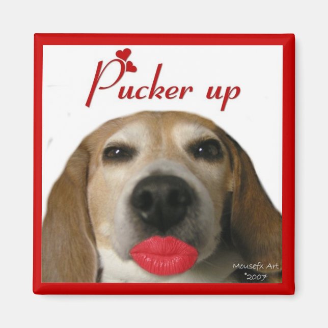 Pucker Up Beagle Magnet (Front)
