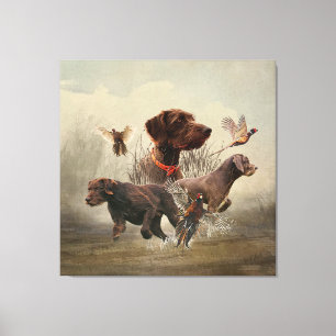 Pudelpointers, Hunting pheasant   Canvas Print