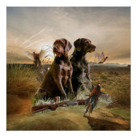 Pudelpointers, Hunting pheasant