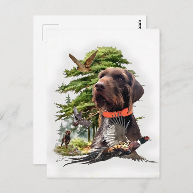 Pudelpointers Postcard (Front/Back)