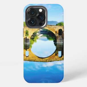 Puente La Reina iPhone 13 Pro Case