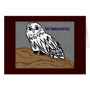 Pueo hawaiian white owl