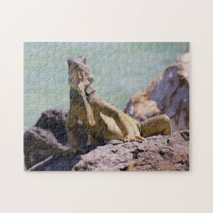 Puerto Rican Large Iguana Jigsaw Puzzle