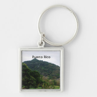 Puerto Rican Rainforest Key Ring