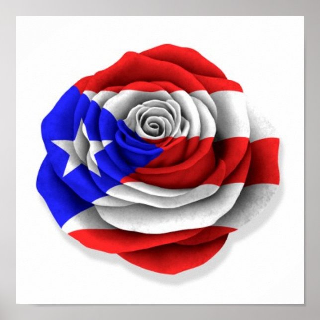 Puerto Rican Rose Flag on White Poster (Front)