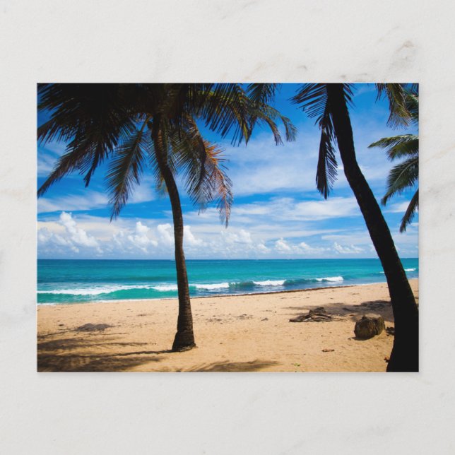 Puerto Rico - Condado Beach Postcard (Front)
