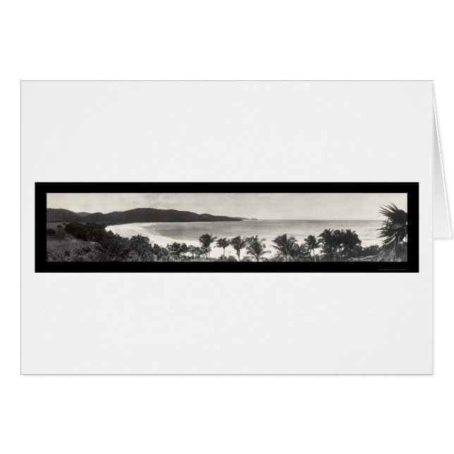 Puerto Rico Flamingo Photo 1914 (Front Horizontal)