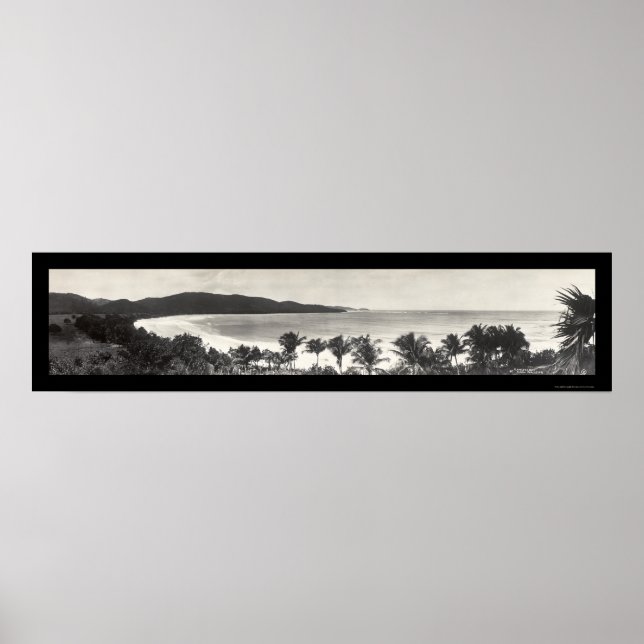 Puerto Rico Flamingo Photo 1914 Poster (Front)