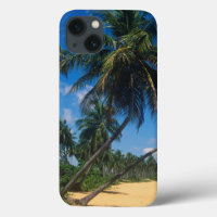 Puerto Rico, Isla Verde, palm trees