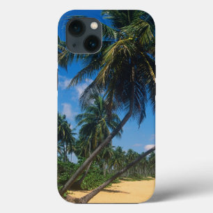 Puerto Rico, Isla Verde, palm trees iPhone 13 Case