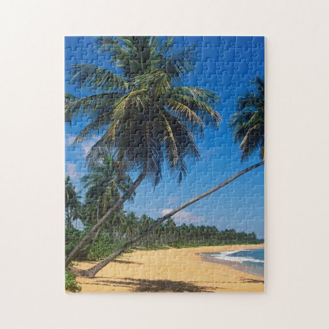 Puerto Rico, Isla Verde, palm trees Jigsaw Puzzle (Vertical)