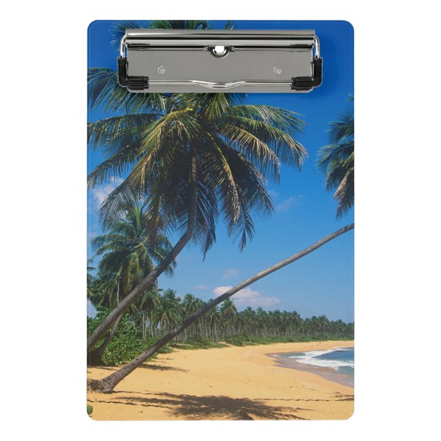 Puerto Rico, Isla Verde, palm trees Mini Clipboard (Front)