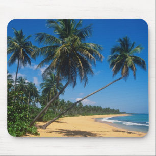 Puerto Rico, Isla Verde, palm trees. Mouse Pad
