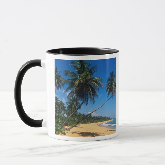 Puerto Rico, Isla Verde, palm trees. Mug (Left)