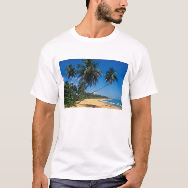 Puerto Rico, Isla Verde, palm trees. T-Shirt (Front)