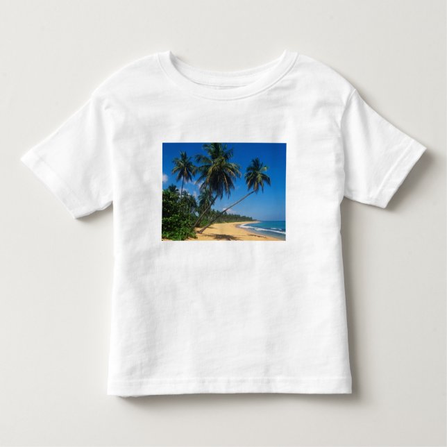 Puerto Rico, Isla Verde, palm trees. Toddler T-Shirt (Front)
