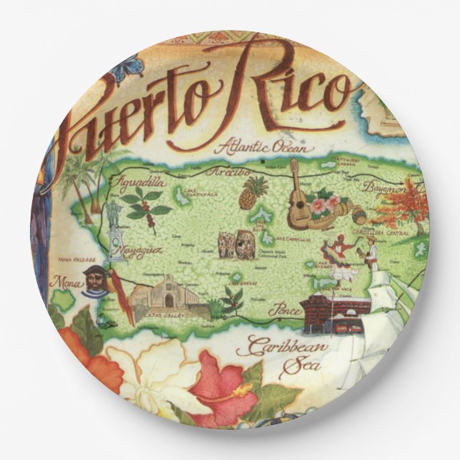 Puerto Rico Map  Paper Plate (Front)