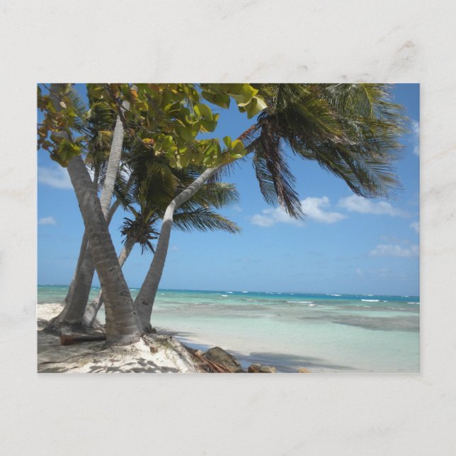 Puerto Rico Postcard (Front)