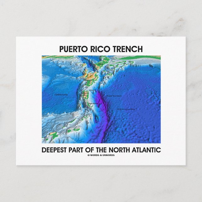 Puerto Rico Trench Deepest Part Of The N. Atlantic Postcard (Front)