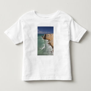 Puerto Rico, West Coast, Cabo Rojo, coastline Toddler T-Shirt