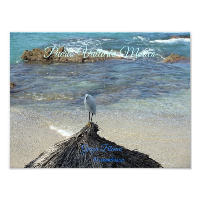 Puerto Vallarta Mexico-Garza Blanca Photo Print (Front)