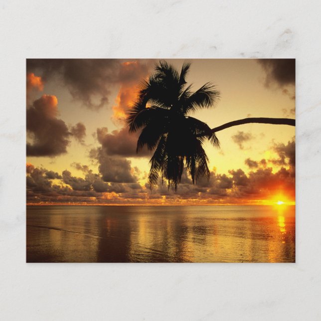 Puerto Vallarta Postcard (Front)