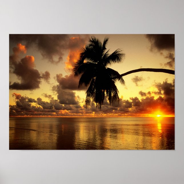 Puerto Vallarta Poster (Front)