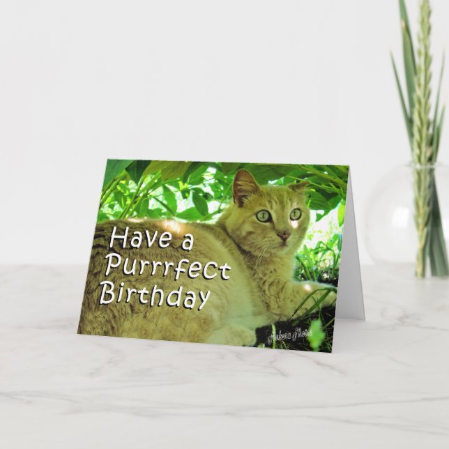 Puff Under  the Peonies Card (Front)