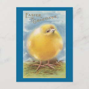 Puffball Chick Vintage Easter Holiday Postcard
