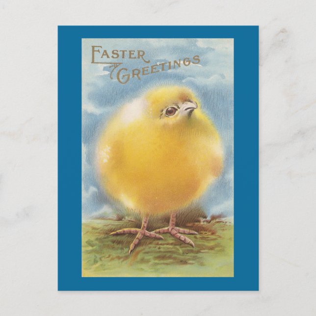 Puffball Chick Vintage Easter Holiday Postcard (Front)